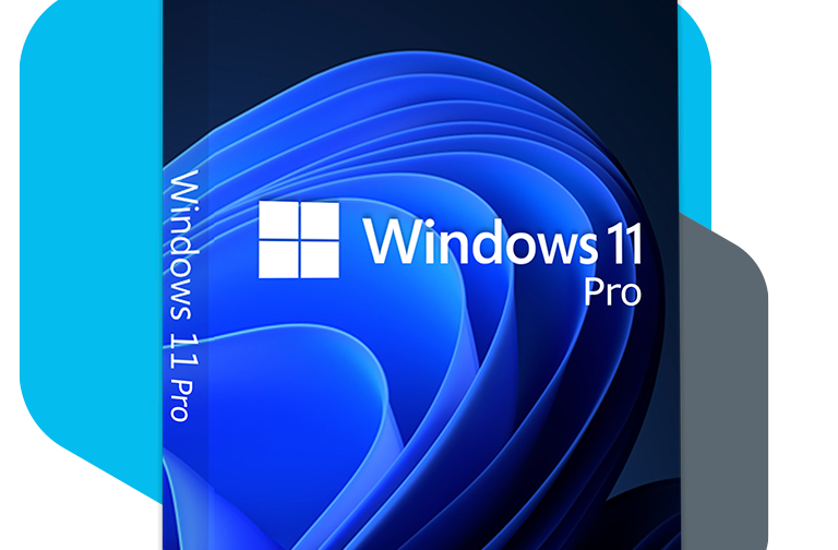 Windows 11 Pro