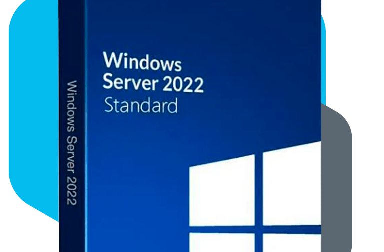 Microsoft Windows Server 2022 Standard - Lifetime License